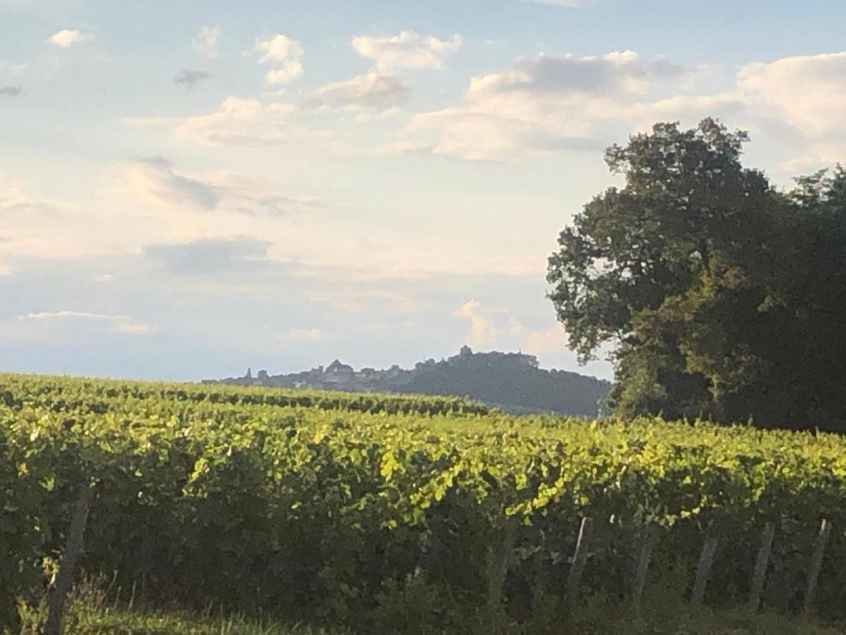 Havre De Paix Au Pied Des Vignes *